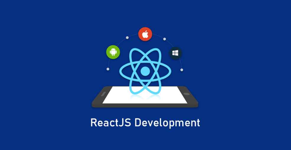 reactjs development services