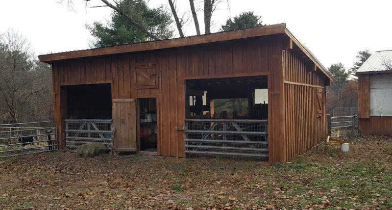 enviornmental impact sheep shelters