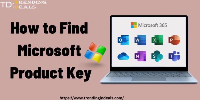 How to Find Microsoft Product Key