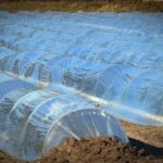 Eco-Friendly Tarpaulins