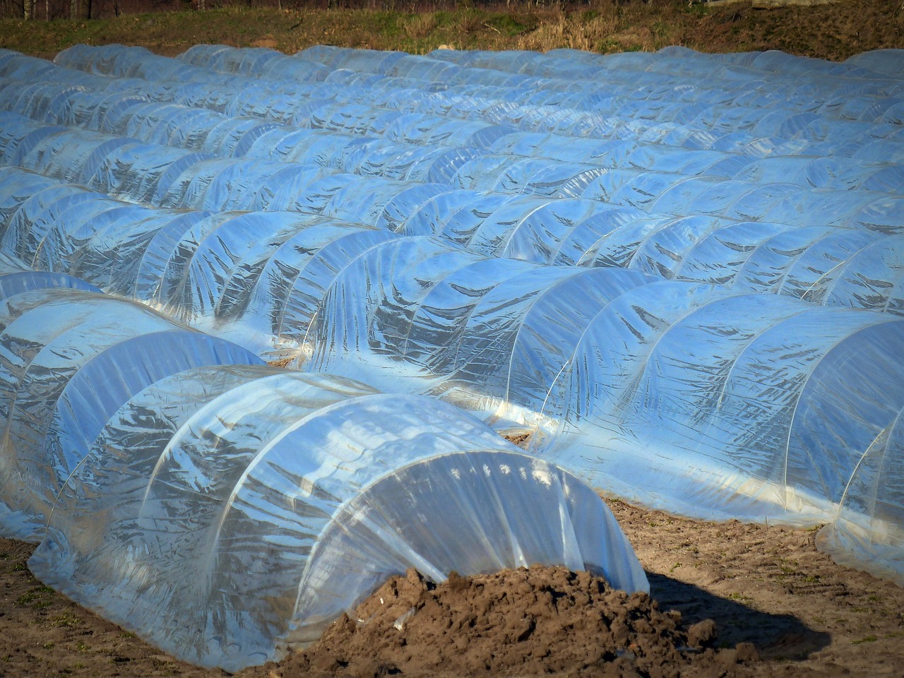 Eco-Friendly Tarpaulins