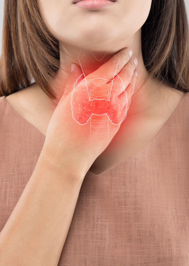 The Role of Desiccated Thyroid in Balancing Hormones
