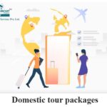 domestic tour packages