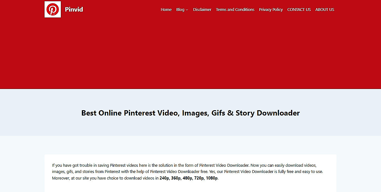 pinterest video downloader