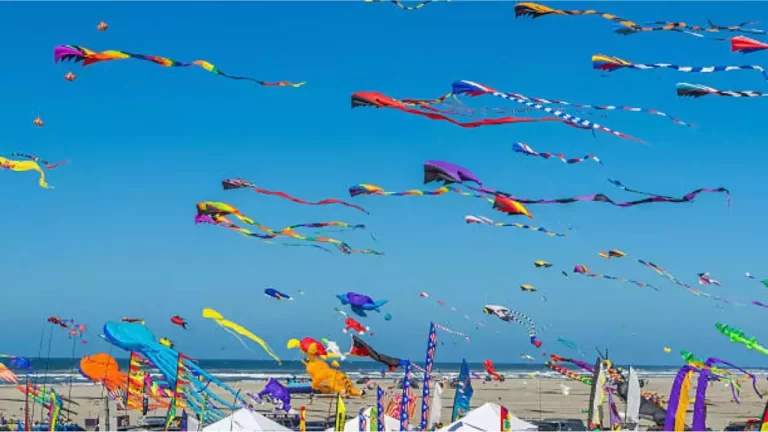 Soar High at the Jaipur Kite Festival 2024: Rajasthan’s Spectacular Sky Carniva