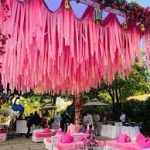 Wedding Planner in Udaipur