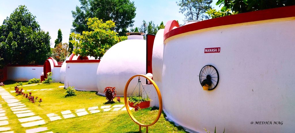 delight of bbq evenings