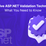 validate asp.net applications