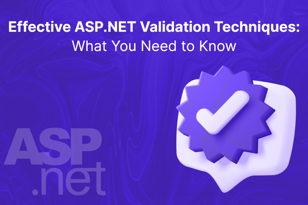 validate asp.net applications