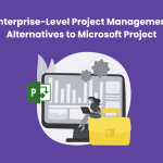 enterprise level project