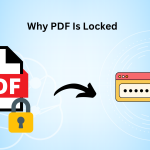 PDF locked