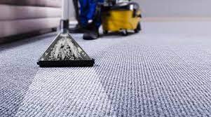 The Science of Carpet Cleaning and Why It Matters – Behind the Scenes