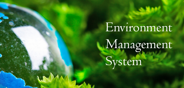 Sustainable Success: Navigating Environmental Management for Small Scale Industries