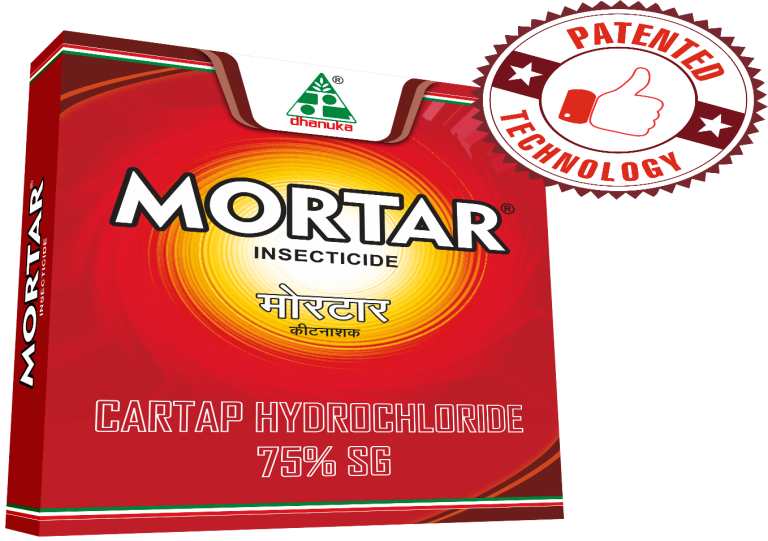 Unveiling Mortar: Superior Japanese Technology for Comprehensive Pest Control