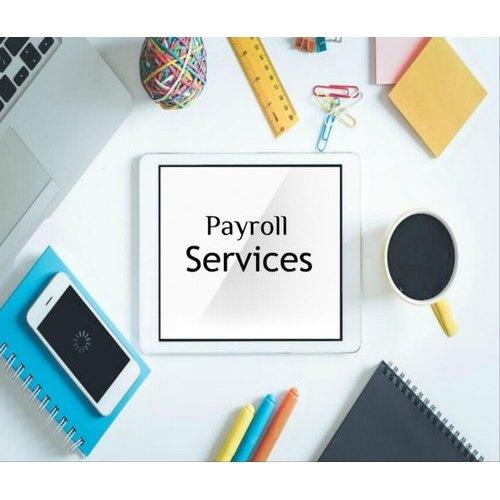 The Role of Consultants in Payroll Taxes and HRMS Software Implementation in India