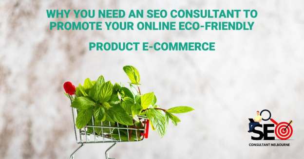 Why You Need an SEO Consultant to Promote Your Online Eco-Friendly Product E-Commerce
