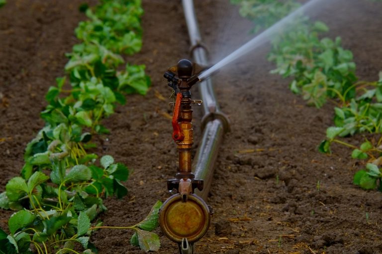 Exploring the Benefits and Challenges of Drip Irrigation Adoption in Melbourne’s Agricultural Sector