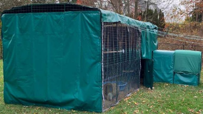 The Importance of Tarpaulins in Poultry Houses
