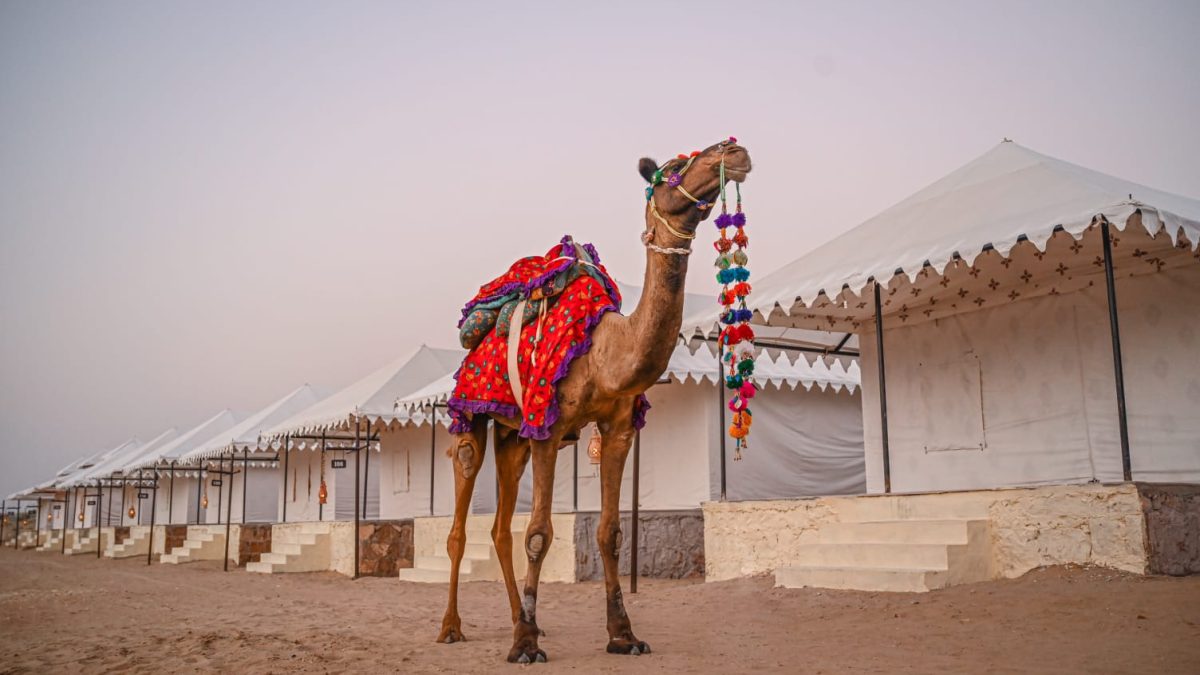 desert camp
