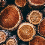 Good quality wood