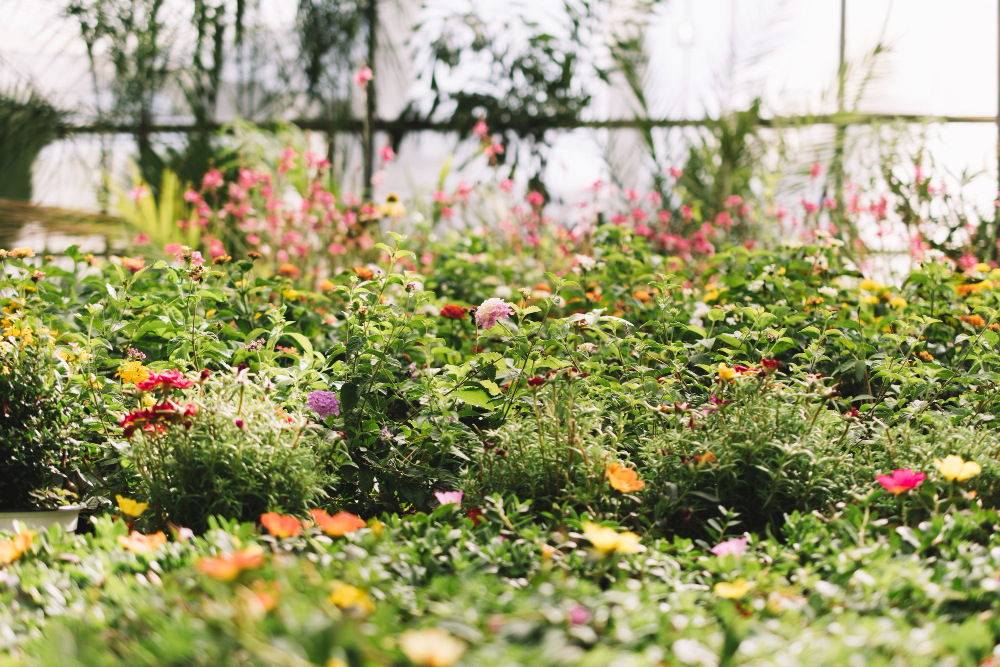 landscaping
