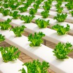 precision farming