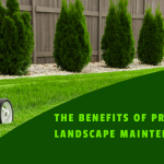 Professional landscapers