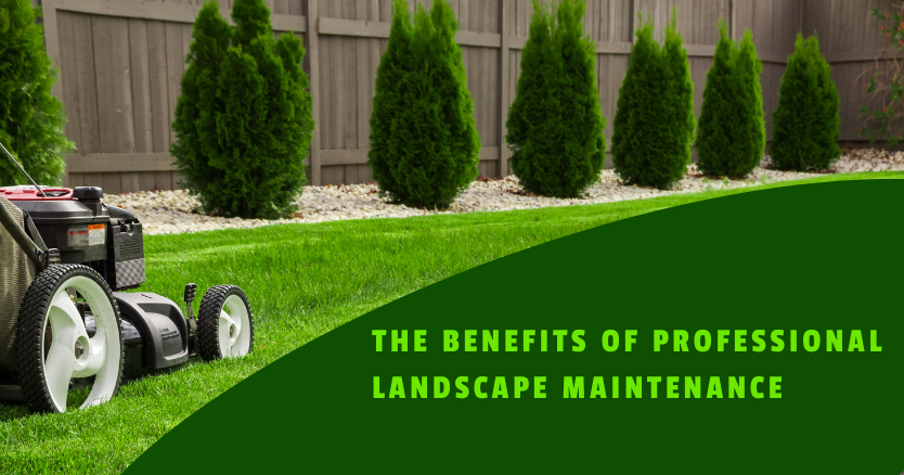 Professional landscapers