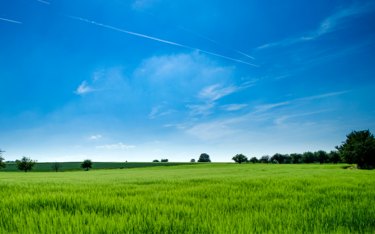 How to Use Banglarbhumi for Land Inquiries?