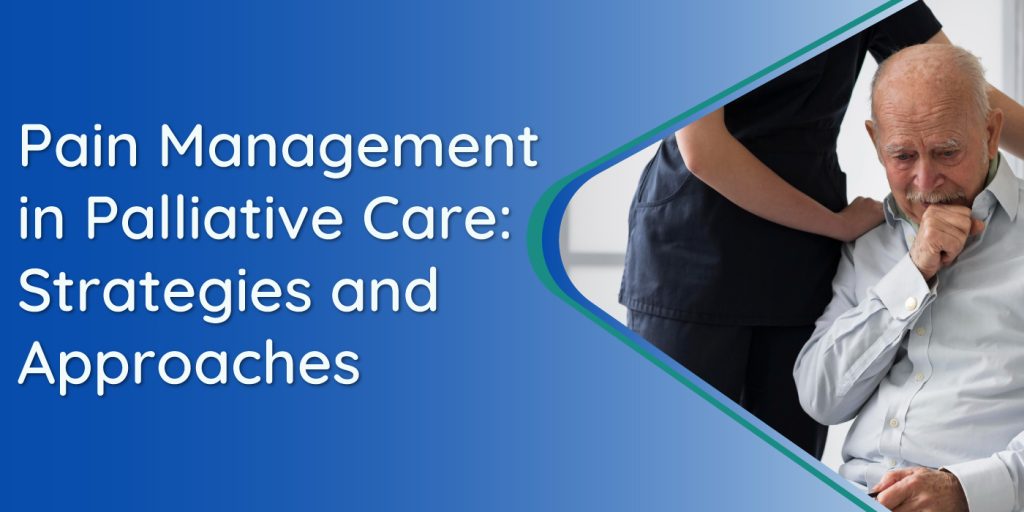 palliative care software solutions