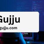 custom software development