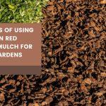 western red cedar mulch