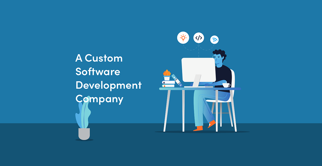 custom software services