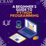 python programming