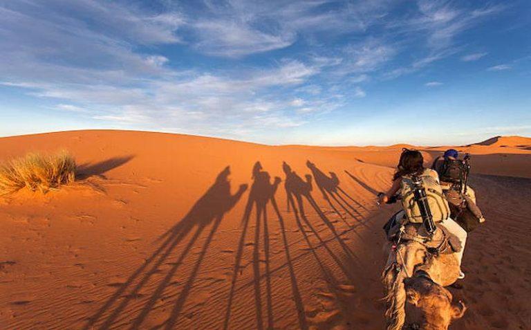 A Guide to Dubai’s Evening Desert Safari Adventures