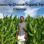 organic farms