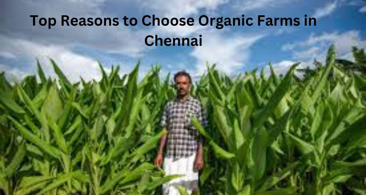 organic farms