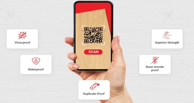 The Growing Threat of Fake Plywood and How Century Promise Fights It