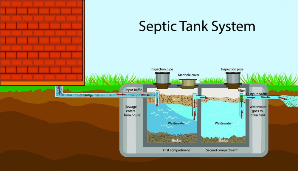 septic tank treatment
