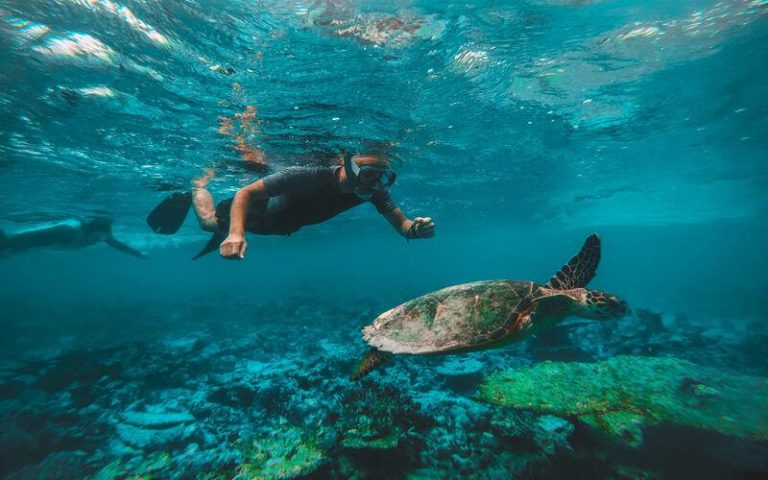 Musandam Dibba Trip: Snorkeling, Dolphin Watching & More 
