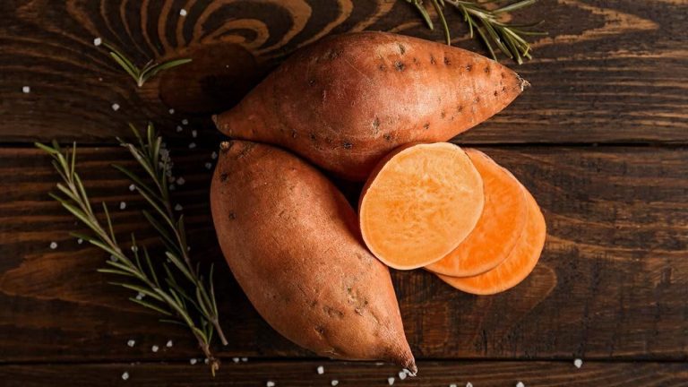 Packaging Formats That Win In Retail Freezer Aisles