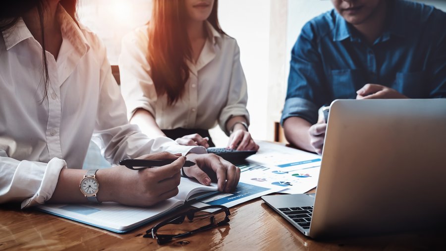 professional business appraisers