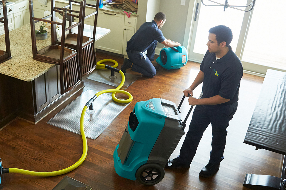 water damage in hobart