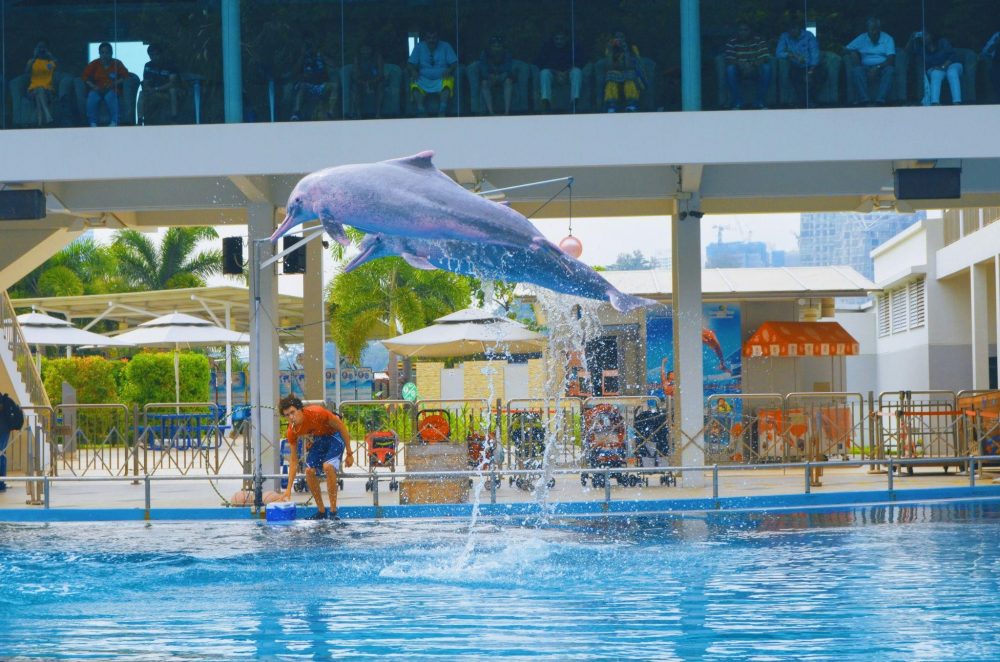 atlantis aquaventure