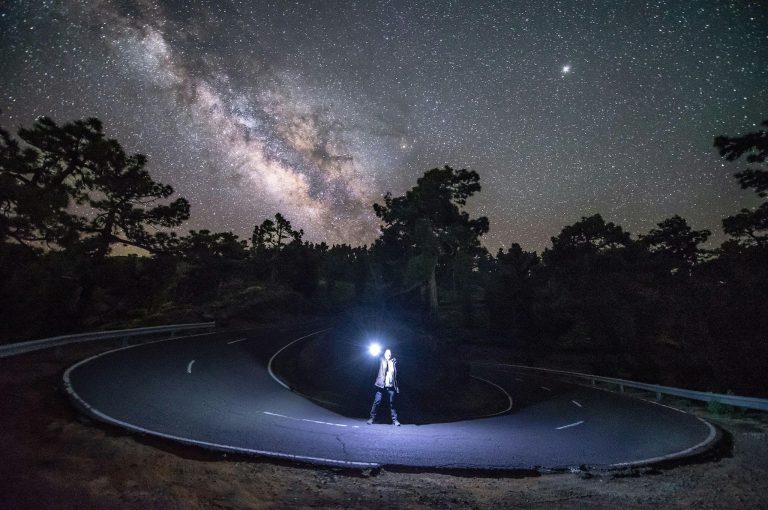From Cosmic Dust to Glowing Gardens: The Art and Science Behind AYA Universe