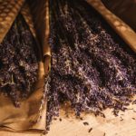 eau de Parfum scents for spring