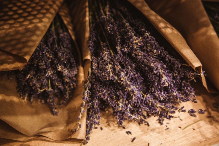 The Best Eau de Parfum for Spring: Fresh, Airy, and Unforgettable Photo by Jason Leung on Unsplash