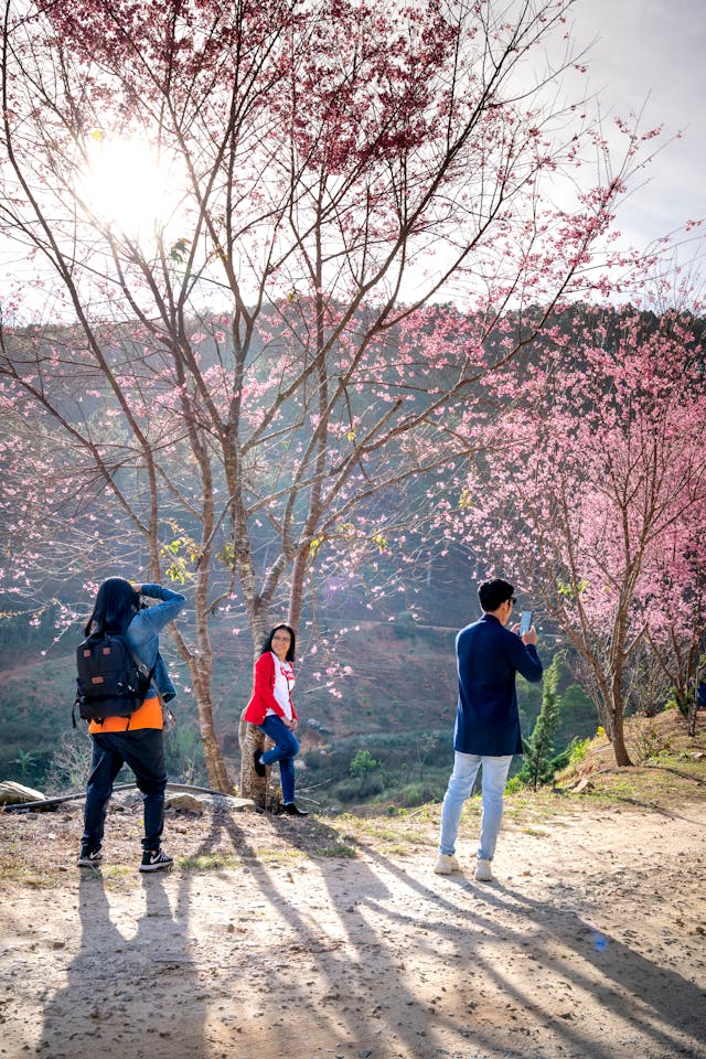 Why Japan’s Cherry Blossom Season Should Be on Every Traveler’s Bucket List