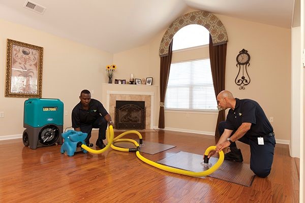 How to Recover Quickly with Water Damage Restoration Services in Adelaide