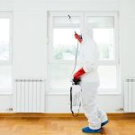 Pest Removal Services